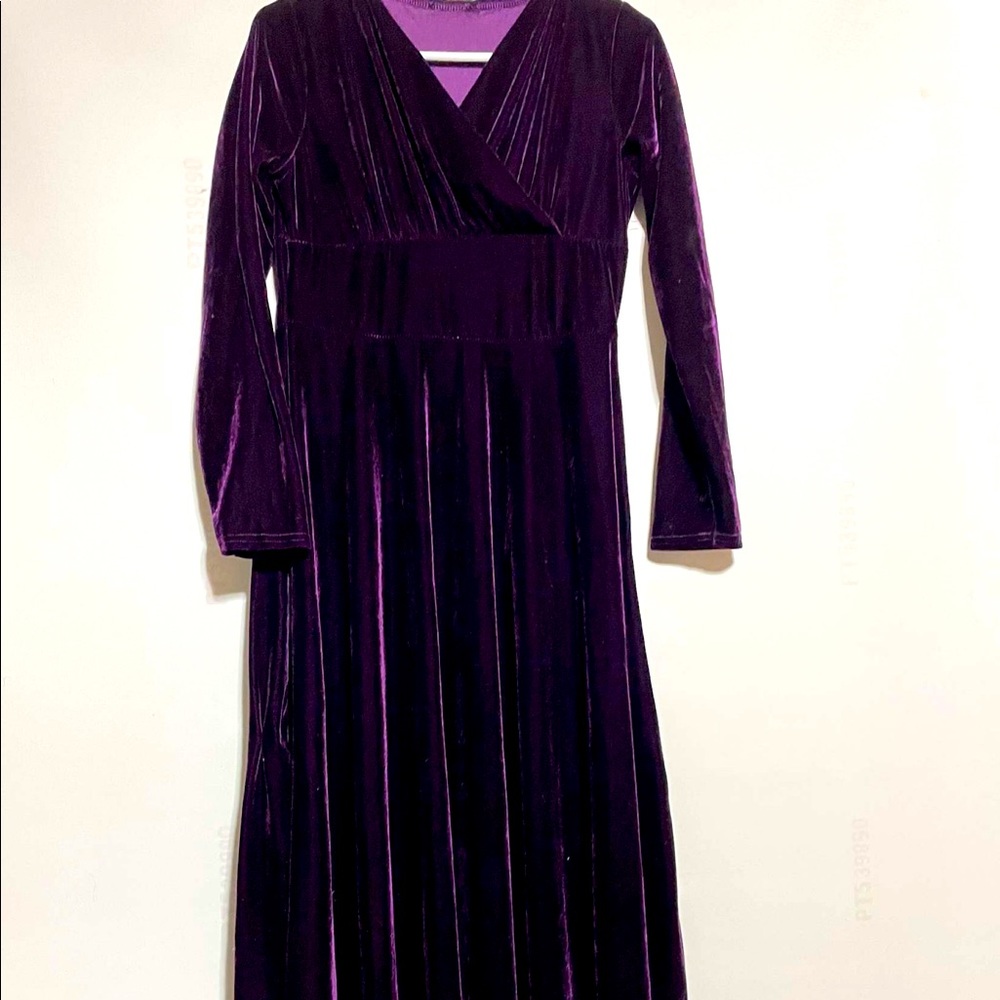 Vintage Velvet dress